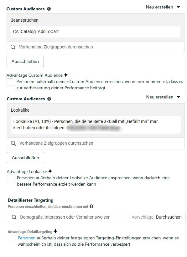 meta-ads-targeting-urspruengliche-zielgruppe--alle-andreren-leistungsziele-custom-audience-11