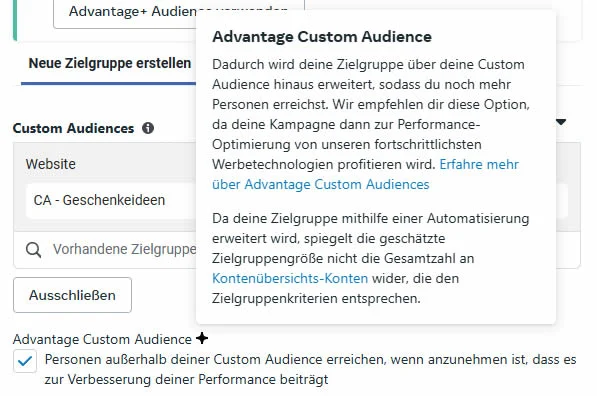 meta-ads-targeting-urspruengliche-zielgruppe-landingpage-aufrufe-advantage-custom-audience