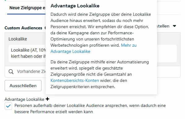 meta-ads-targeting-urspruengliche-zielgruppe-landingpage-aufrufe-advantage-lookalike